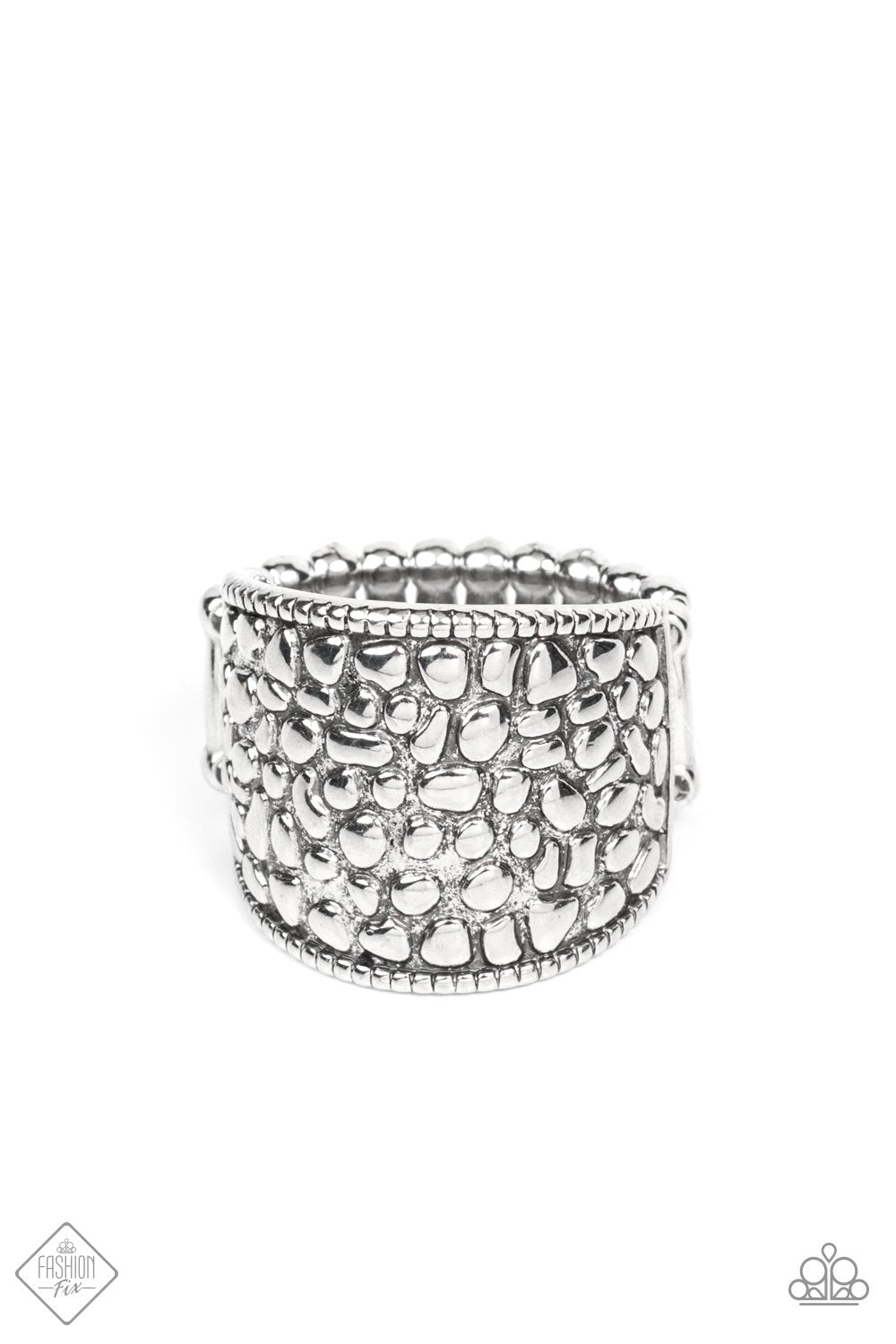 "Dotted Decorum" - Silver # 3263 - Paparazzi Accessories
